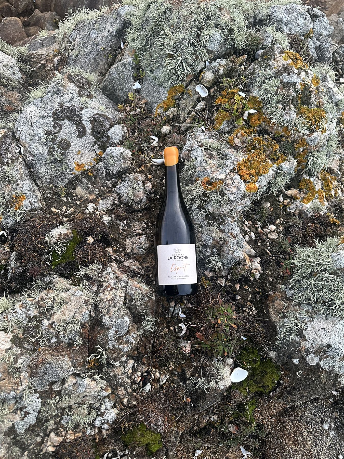 La cuvée Esprit posée sur les rochers
